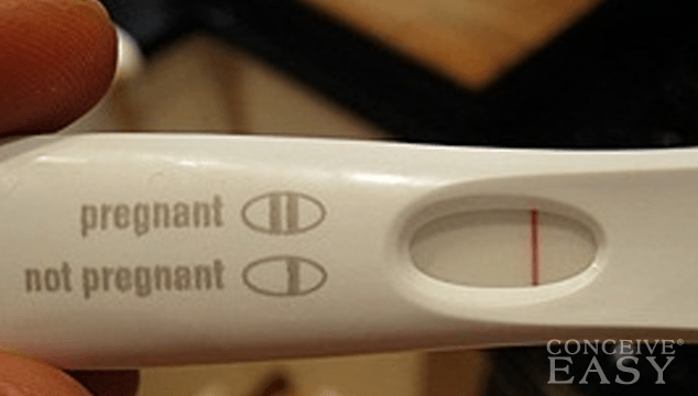pregnancy symptoms but negative test
