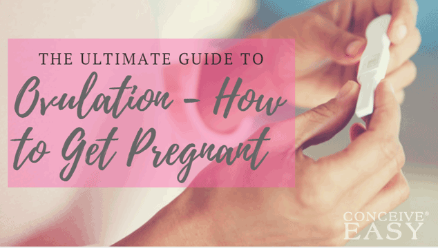 9 Tips on How to Get Pregnant Faster Infographic