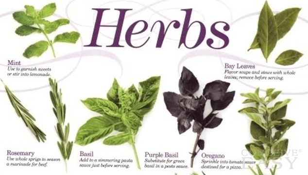 Categories of Herbs Safe in Pregnancy | ConceiveEasy.com on {keyword}