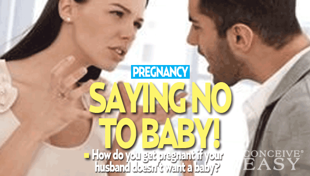 How to Get Pregnant if my Husband Doesn't Want To ...