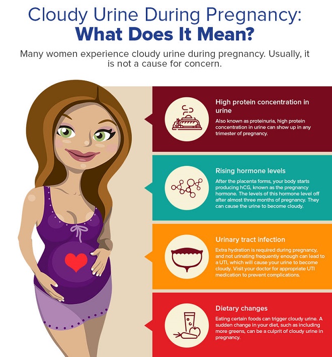 Spotting vs. Period: Is It Aunt Flo or Early Pregnancy Bleeding ...